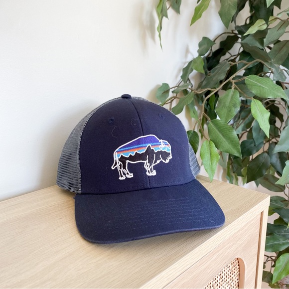 Patagonia Other - PATAGONIA | Fitz Roy Bison LoPro Trucker SnapBack Hat